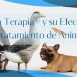 tratamientos de la LNT con animales