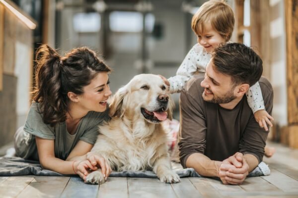 Terapia LNT para Animales – Sanación Energética a Distancia